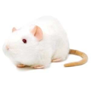 VIAHART | Wylie The White Rat - 7 Inch Stuffed Animal Plush